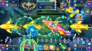 555x Game